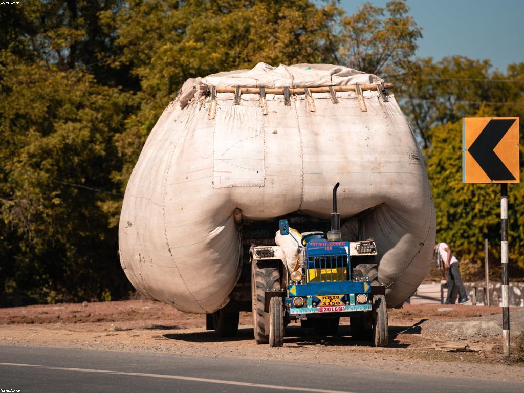 ααΆααααα αΆαααΈα±ααΆααααααΆααααα·αα