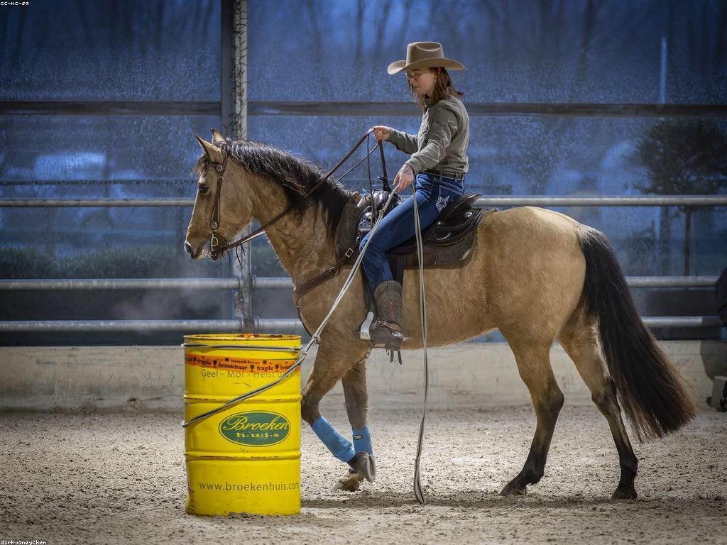 ការប្រកួតក្នុងកីឡានិងការប្រកួត
