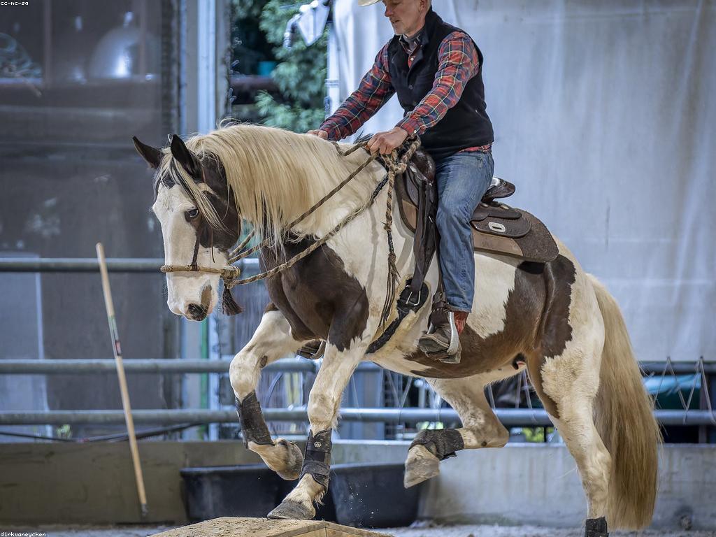 ការប្រកួតនិងបទពិសោធន៍កីឡា