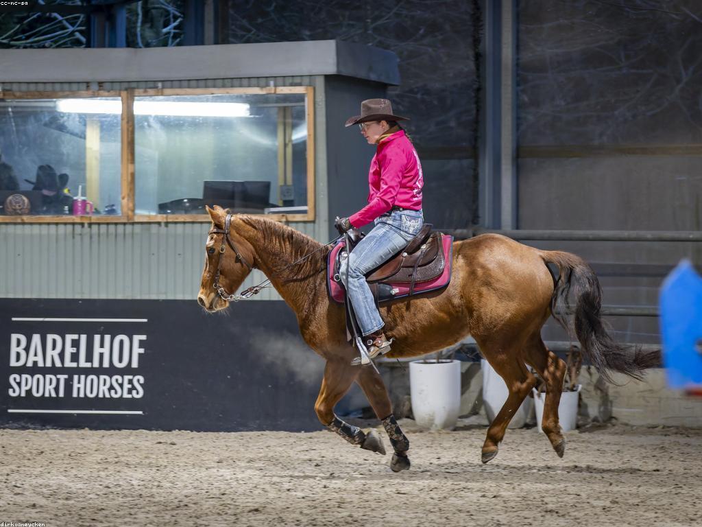 កីឡានិងវប្បធម៌នៃការប្រកួត