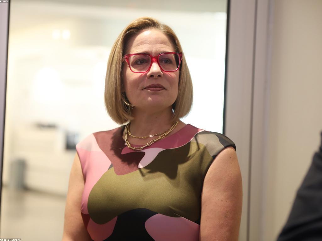 យុទ្ធសាស្ត្រនិងចៅហ្វាយ: ការវិវត្តន៍នៃអាជីវកម្ម