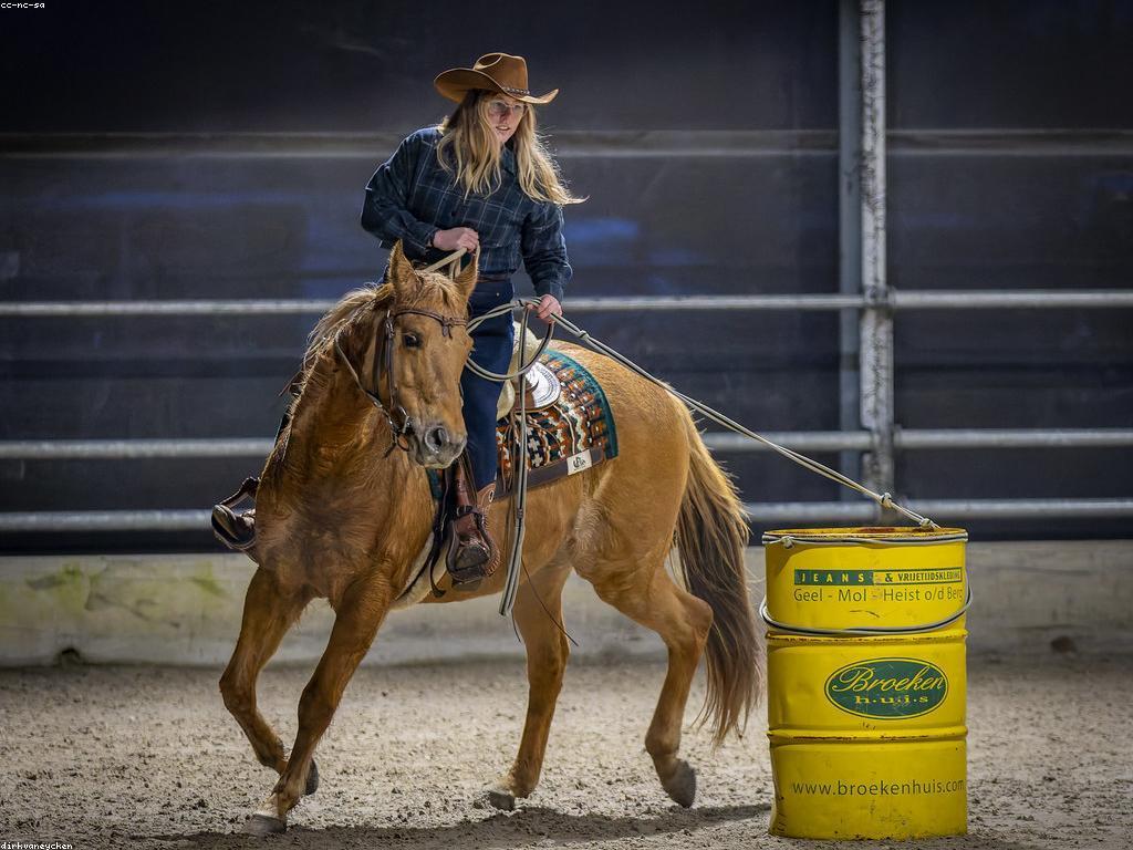 សម្របសម្រួលនៃការប្រកួតនិងការប្រកួត