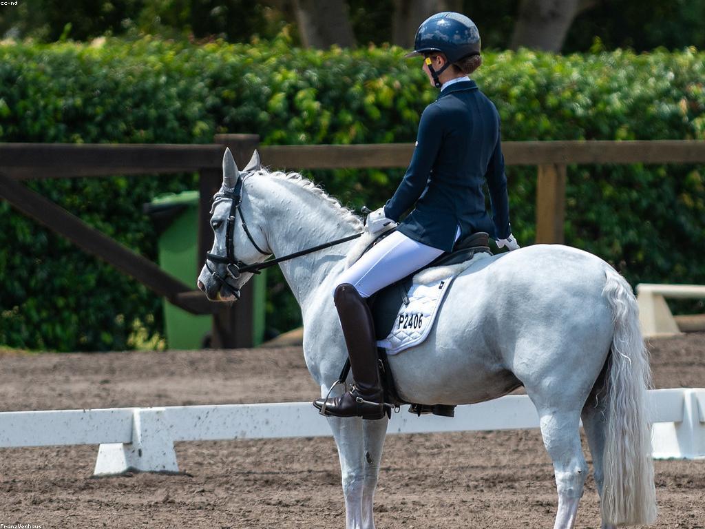 នូវការប្រកួតនិងការប្រកួត: ការពិភាក្សាពីការប្រកួតនានា