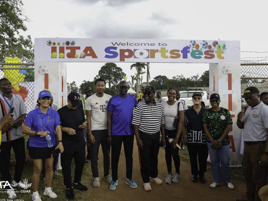 កីឡានិងវប្បធម៌នៃការប្រកួត